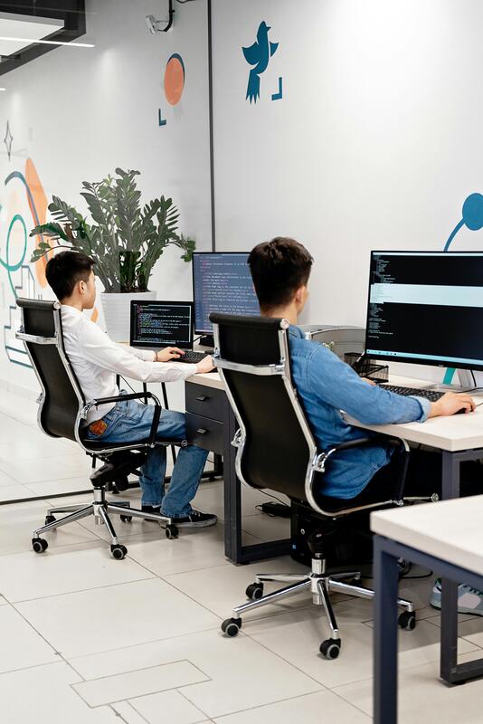 Software Development