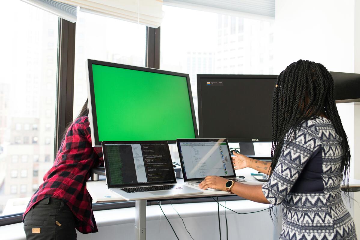 Web Development